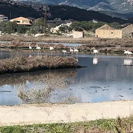 Vecchio Sam Appartamento