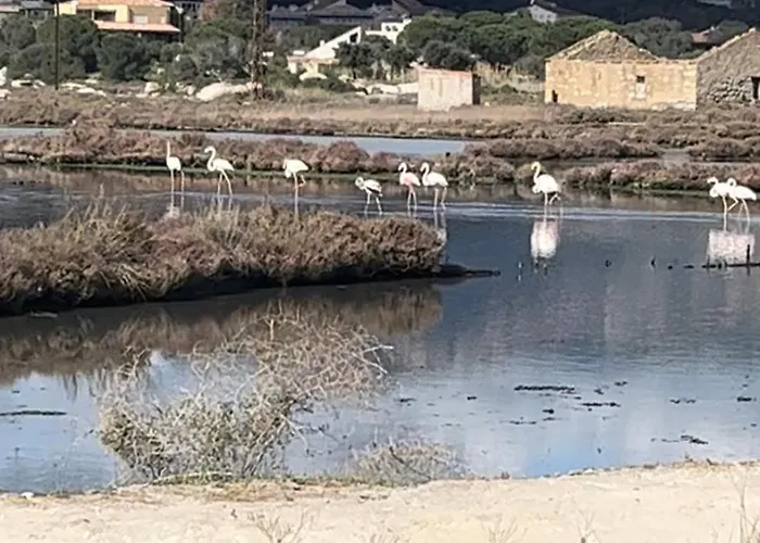 Vecchio Sam Appartement